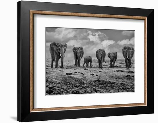 Big Family-Marcel Rebro-Framed Photographic Print