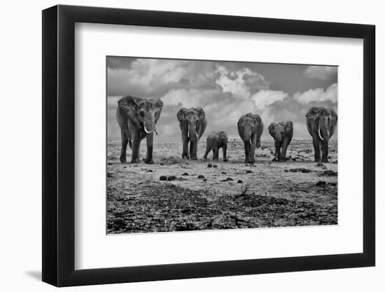 Big Family-Marcel Rebro-Framed Photographic Print