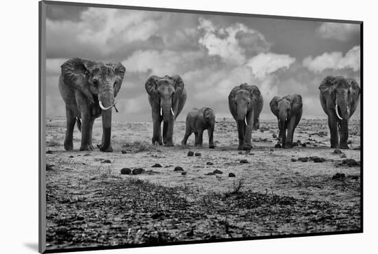 Big Family-Marcel Rebro-Mounted Photographic Print