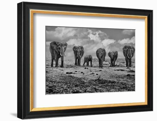 Big Family-Marcel Rebro-Framed Photographic Print