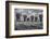 Big Family-Marcel Rebro-Framed Photographic Print