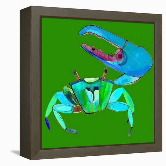 Big Fidler Crab-Robbin Rawlings-Framed Stretched Canvas