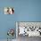 Big Hangover, Van Johnson, Elizabeth Taylor, 1950-null-Photo displayed on a wall