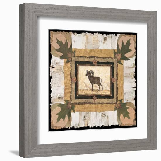 Big Horn Ram-Pamela Gladding-Framed Art Print