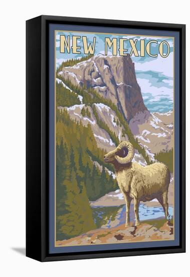 Big Horn Sheep - New Mexico-Lantern Press-Framed Stretched Canvas