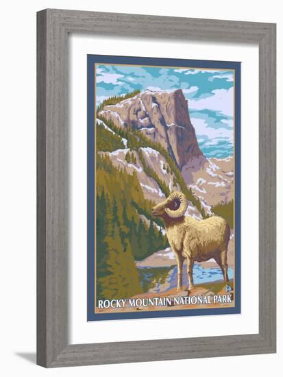 Big Horn Sheep, Rocky Mountain National Park-Lantern Press-Framed Art Print