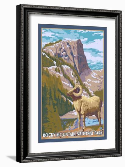 Big Horn Sheep, Rocky Mountain National Park-Lantern Press-Framed Art Print