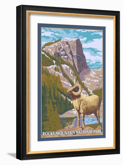 Big Horn Sheep, Rocky Mountain National Park-Lantern Press-Framed Art Print