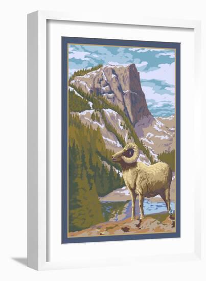 Big Horn Sheep-Lantern Press-Framed Art Print