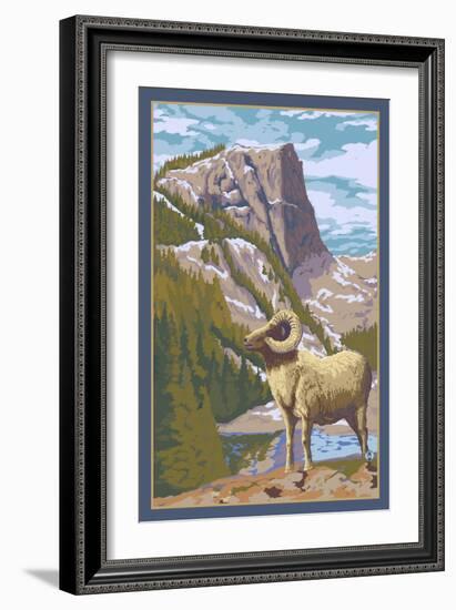 Big Horn Sheep-Lantern Press-Framed Art Print