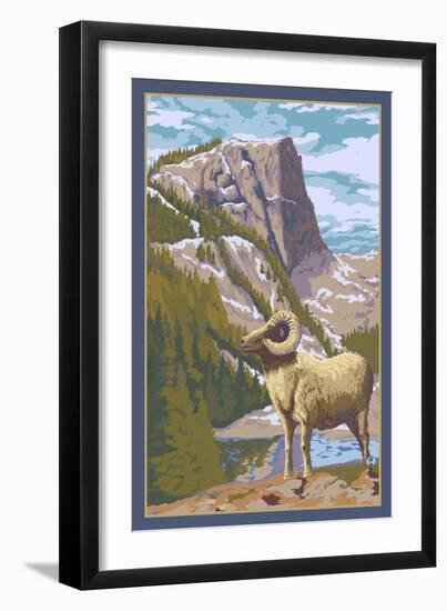 Big Horn Sheep-Lantern Press-Framed Premium Giclee Print