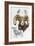 Big Horn Sheep-Barbara Keith-Framed Giclee Print