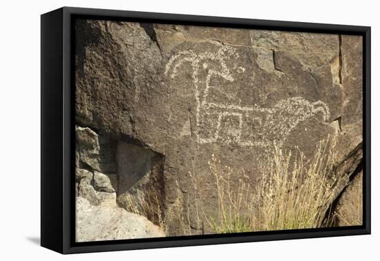 Big-Horned Sheep Jornada-Mogollon Petroglyph at Three Rivers Site, New Mexico-null-Framed Premier Image Canvas