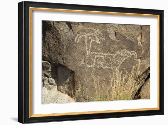 Big-Horned Sheep Jornada-Mogollon Petroglyph at Three Rivers Site, New Mexico-null-Framed Photographic Print