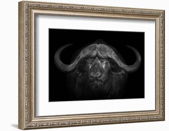 Big Horns-Mario Moreno-Framed Photographic Print