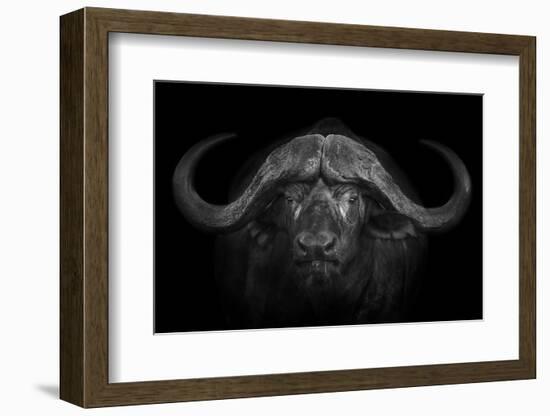 Big Horns-Mario Moreno-Framed Photographic Print