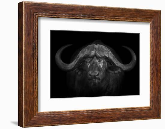 Big Horns-Mario Moreno-Framed Photographic Print