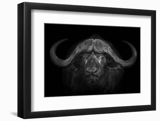 Big Horns-Mario Moreno-Framed Photographic Print