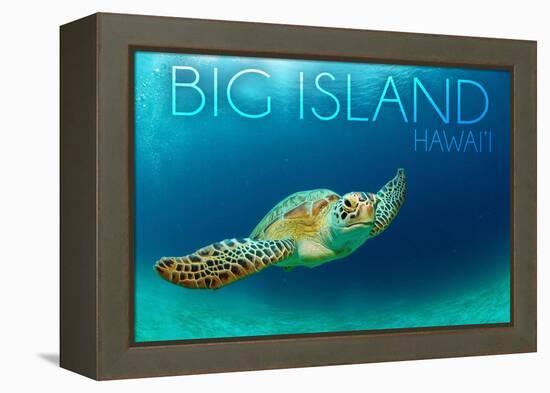 Big Island, Hawaii - Sea Turtle Swimming-Lantern Press-Framed Stretched Canvas