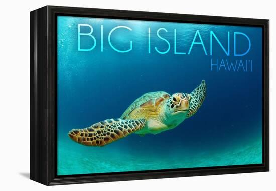 Big Island, Hawaii - Sea Turtle Swimming-Lantern Press-Framed Stretched Canvas