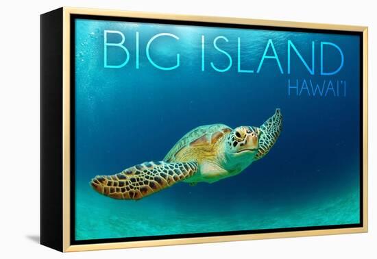 Big Island, Hawaii - Sea Turtle Swimming-Lantern Press-Framed Stretched Canvas