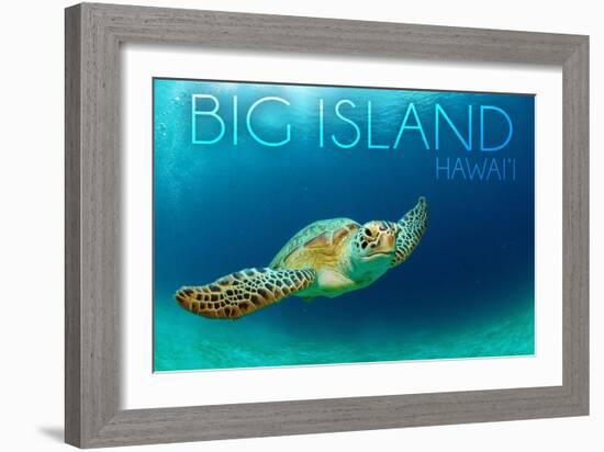 Big Island, Hawaii - Sea Turtle Swimming-Lantern Press-Framed Art Print