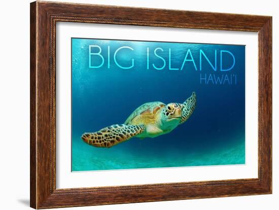 Big Island, Hawaii - Sea Turtle Swimming-Lantern Press-Framed Art Print