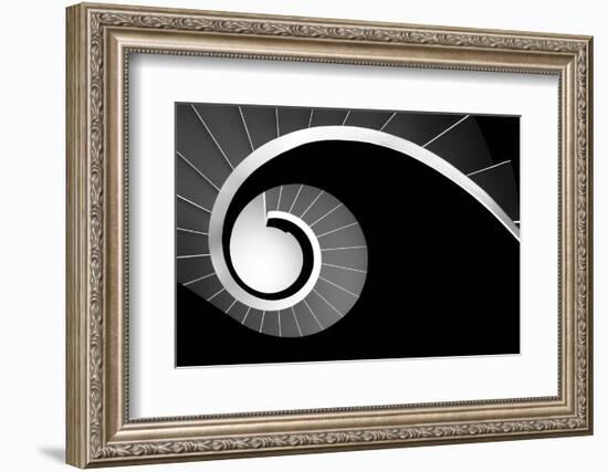 Big Jet Plane-Paulo Abrantes-Framed Photographic Print