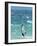 Big Jump Windsurfing in High Levante Winds in the Strait of Gibraltar, Valdevaqueros, Tarifa, Andal-Giles Bracher-Framed Photographic Print