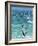 Big Jump Windsurfing in High Levante Winds in the Strait of Gibraltar, Valdevaqueros, Tarifa, Andal-Giles Bracher-Framed Photographic Print