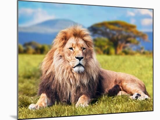 Big Lion Lying on Savannah Grass. Landscape with Characteristic Trees on the Plain and Hills in The-Michal Bednarek-Mounted Premium Photographic Print