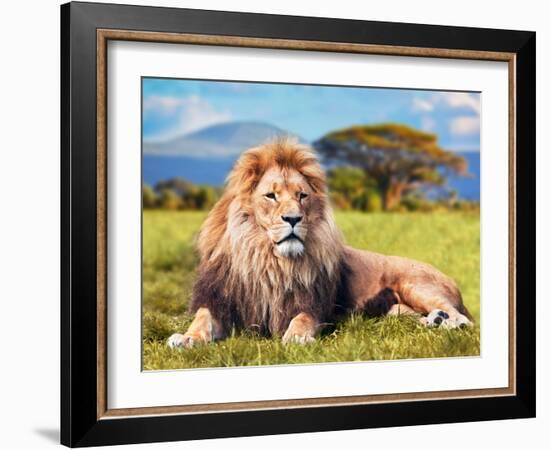 Big Lion Lying on Savannah Grass. Landscape with Characteristic Trees on the Plain and Hills in The-Michal Bednarek-Framed Photographic Print