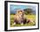Big Lion Lying on Savannah Grass. Landscape with Characteristic Trees on the Plain and Hills in The-Michal Bednarek-Framed Photographic Print