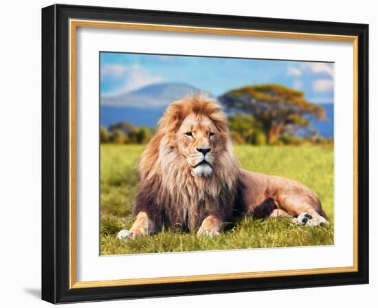 Big Lion Lying on Savannah Grass. Landscape with Characteristic Trees on the Plain and Hills in The-Michal Bednarek-Framed Photographic Print