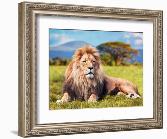 Big Lion Lying on Savannah Grass. Landscape with Characteristic Trees on the Plain and Hills in The-Michal Bednarek-Framed Photographic Print