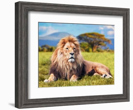 Big Lion Lying on Savannah Grass. Landscape with Characteristic Trees on the Plain and Hills in The-Michal Bednarek-Framed Photographic Print