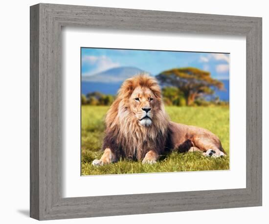 Big Lion Lying on Savannah Grass. Landscape with Characteristic Trees on the Plain and Hills in The-Michal Bednarek-Framed Photographic Print