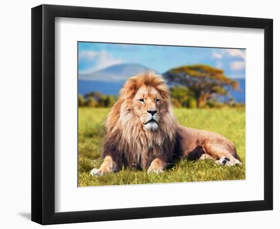 Big Lion Lying on Savannah Grass. Landscape with Characteristic Trees on the Plain and Hills in The-Michal Bednarek-Framed Photographic Print