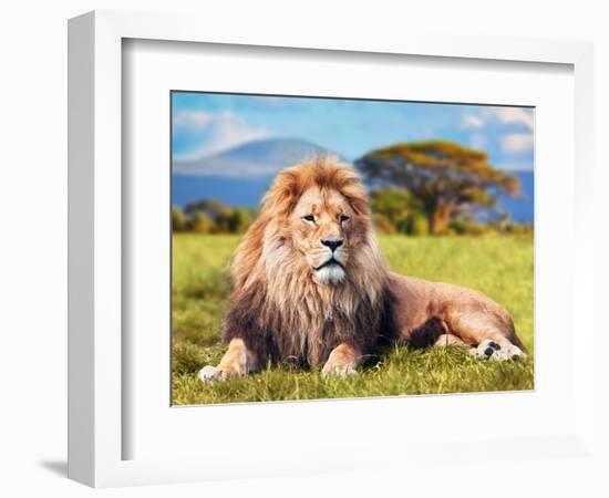 Big Lion Lying on Savannah Grass. Landscape with Characteristic Trees on the Plain and Hills in The-Michal Bednarek-Framed Photographic Print