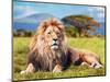 Big Lion Lying on Savannah Grass. Landscape with Characteristic Trees on the Plain and Hills in The-Michal Bednarek-Mounted Photographic Print