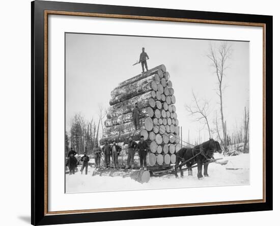 Big Load of Logs on a Horse Drawn Sled in Michigan, Ca. 1899-null-Framed Photo