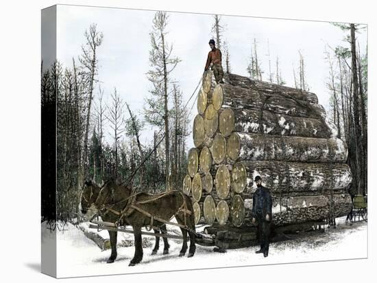 Stretched Canvas Print, , large