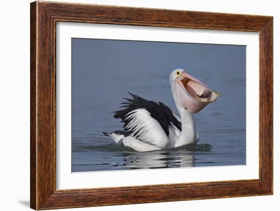 Big Lunch-C.S.Tjandra-Framed Photographic Print