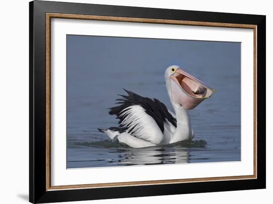 Big Lunch-C.S.Tjandra-Framed Photographic Print