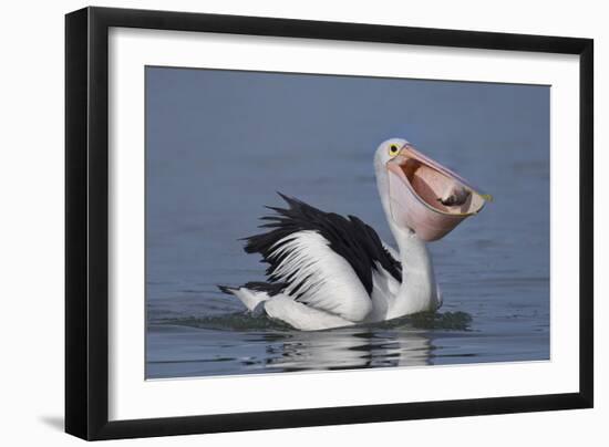 Big Lunch-C.S.Tjandra-Framed Photographic Print