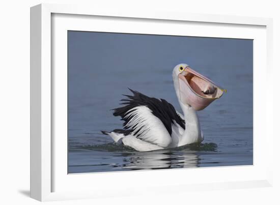 Big Lunch-C.S.Tjandra-Framed Photographic Print