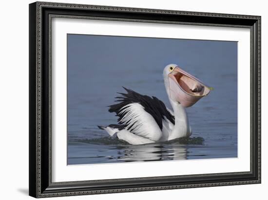 Big Lunch-C.S.Tjandra-Framed Photographic Print