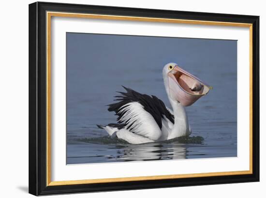 Big Lunch-C.S.Tjandra-Framed Photographic Print