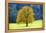 Big Maple as a Single Tree in Autumn-Wolfgang Filser-Framed Premier Image Canvas