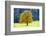 Big Maple as a Single Tree in Autumn-Wolfgang Filser-Framed Photographic Print